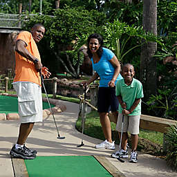 Mini Golf by Spur Experiences® (Orlando, FL)