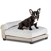 Club Nine Belmont Large Orthopedic Dog Bed in Beige