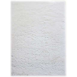 Omedy Ahna 3' x 5' Shag Area Rug in White
