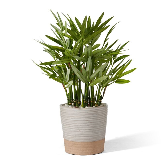 Elements 15Inch Artificial Bamboo Plant in Ceramic Pot Bed Bath and