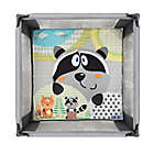 Alternate image 1 for Chicco Tot Quad&trade;Portable Square Playpen
