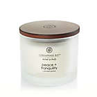 Alternate image 0 for Chesapeake Bay Candle&reg; Mind &amp; Body Peace + Tranquility 3-Wick 11 oz. Candle in White