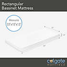 Alternate image 2 for Rectangular Bassinet Mattress in White by Colgate Mattress&reg;