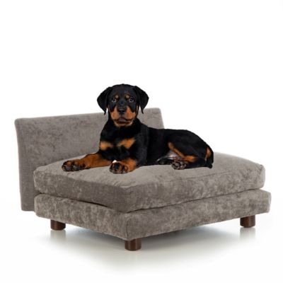 Club Nine Pets Roma Large Orthopedic Dog Bed in Charcoal