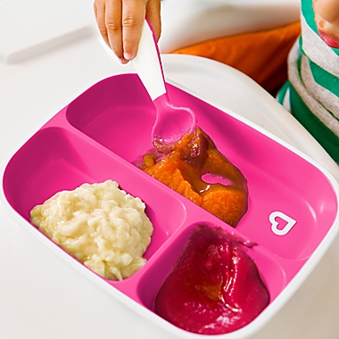 Munchkin&reg; Splash&trade; Divided Plate in Pink. View a larger version of this product image.