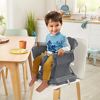 Fisher-Price&reg; SpaceSaver Simple Clean High Chair in Midnight Eucalyptus. View a larger version of this product image.