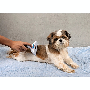 Bell + Howell Paw Perfect Grooming Dog Brush in White. View a larger version of this product image.