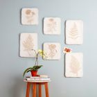 Alternate image 0 for Bee & Willow&trade; Home Wild Fern 2 Botanical 11-Inch x 16-Inch Wall Plaque in White