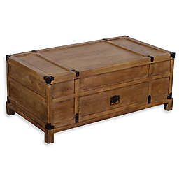 Trunk Style Coffee Table in Brown