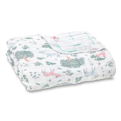 aden and anais oversized dream blanket