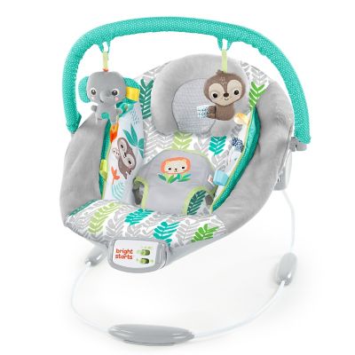 buy buy baby bouncer