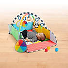 Alternate image 1 for Baby Einstein&trade; Patch&rsquo;s 5-in-1 Playspace&trade; Activity Gym &amp; Ball Pit