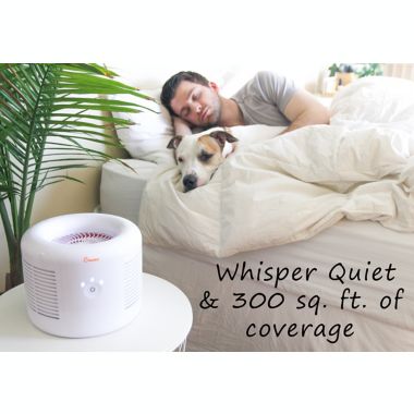 Crane Small Air Purifier with 2.5 PPM Filter Capability in White. View a larger version of this product image.