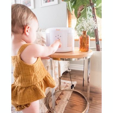 Crane Small Air Purifier with 2.5 PPM Filter Capability in White. View a larger version of this product image.