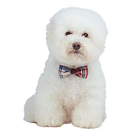 Bee & Willow™ 2-Pack Pet Bow Ties with Collar