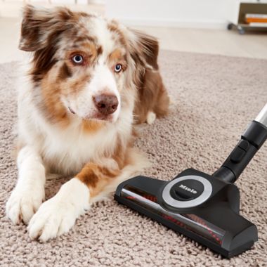 Miele Compact C1 Turbo Team Canister Vacuum in Black. View a larger version of this product image.