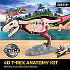 Alternate image 1 for Discovery&trade; MINDBLOWN Toy Anatomy T-Rex 28-Piece Playset