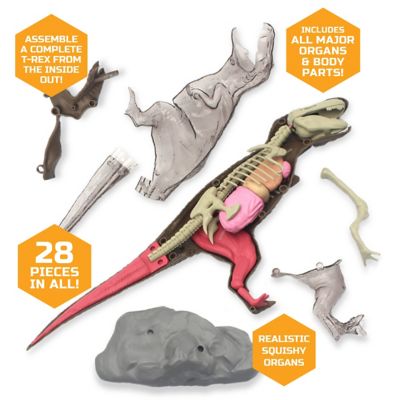 anatomy t rex toy