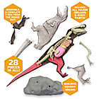 Alternate image 3 for Discovery&trade; MINDBLOWN Toy Anatomy T-Rex 28-Piece Playset