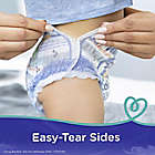Alternate image 6 for Pampers&reg; Easy Ups&trade; Size 4-5T 18-Count Jumbo Pack Boy&#39;s Training Underwear