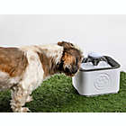 Alternate image 1 for Bell + Howell&reg; Paw Perfect ASTV Pet Water Fountain in White