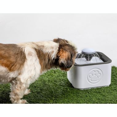 Bell + Howell&reg; Paw Perfect ASTV Pet Water Fountain in White. View a larger version of this product image.