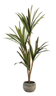 Wild Sage&trade; 55-Inch Potted Floor Plant