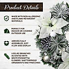 Alternate image 2 for Fraser Hill Farm 24-Inch Frosted Poinsettia Artificial Christmas Wreath in White