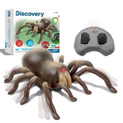 discovery remote control tarantula