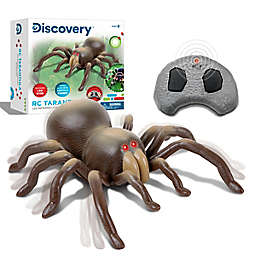 Discovery Kids™ Remote Control Tarantula Toy