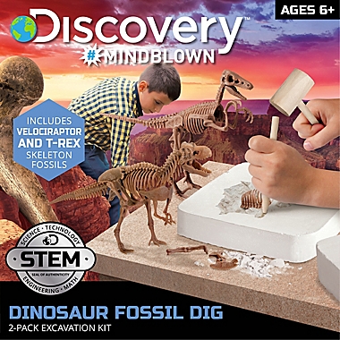 Discovery™ 3D Dino Skeleton Kit | Bed Bath & Beyond