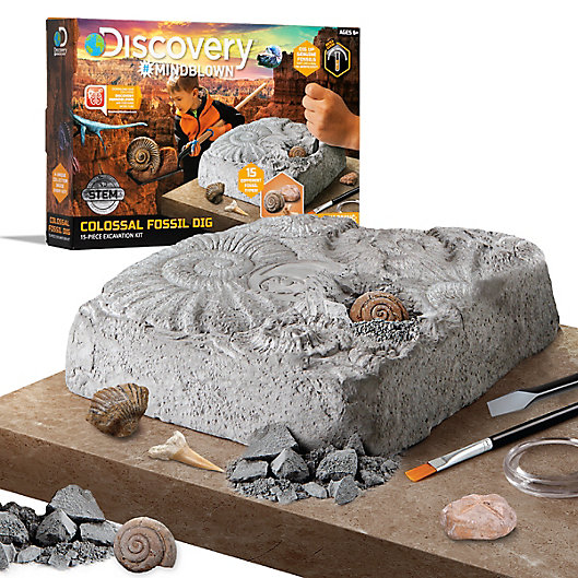 Alternate image 1 for Fossil Excavation Kit
