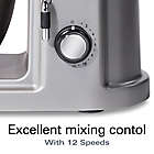 Alternate image 5 for Hamilton Beach&reg; Professional All-Metal Stand Mixer in Silver/Black