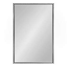 Kate and Laurel® Evans 24-Inch x 36-Inch Rectangular Mirror in Silver