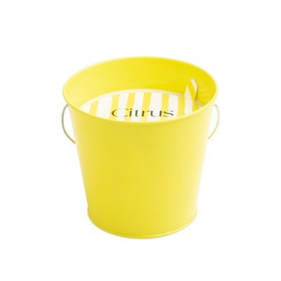 Citrus Blossom 18 oz. Pail with Handle Scented Candle