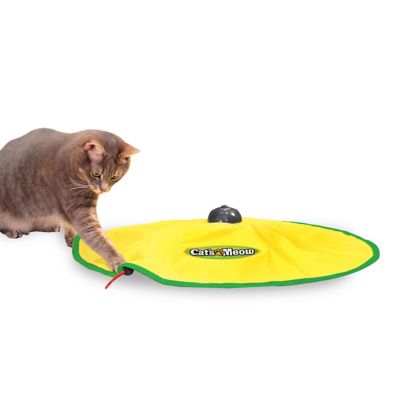 Pets Know Best Cat S Meow Motorized Cat Toy Wand In Green Bed Bath Beyond