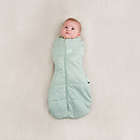 Alternate image 1 for ergoPouch&reg; Size 3-6M Cocoon 1.0 TOG Wearable Swaddle &amp; Sleep Bag in Sage