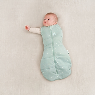 ergoPouch&reg; Size 3-6M Cocoon 1.0 TOG Wearable Swaddle &amp; Sleep Bag in Sage. View a larger version of this product image.