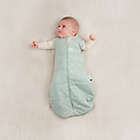 Alternate image 3 for ergoPouch&reg; Size 3-6M Cocoon 1.0 TOG Wearable Swaddle &amp; Sleep Bag in Sage