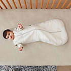 Alternate image 1 for ergoPouch&reg; Size 3-12M 2.5 TOG Organic Cotton Jersey Wearable Sleep Bag in Grey