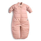 Alternate image 0 for ergoPouch&reg; Size 3-12M 2.5 TOG Organic Cotton Sleep Suit Bag in Berry