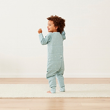 ergoPouch&reg; Size 6-12M 2.5 TOG Sleep Onesie in Sage. View a larger version of this product image.