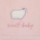 Alternate image 2 for NoJo&reg; Farmhouse Chic Baby Blanket in Pink