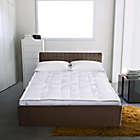 Alternate image 1 for Martha Stewart White Down Top Featherbed