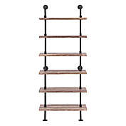 Danya B.&trade; Industrial 6-Tier Pipe Ladder Shelves in Brown/Black