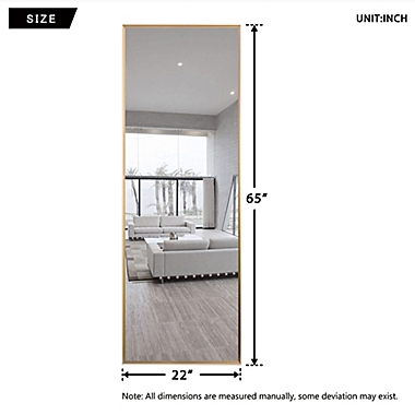 Neutype 64-Inch x 21-Inch Rectangular Full-Length Floor Mirror in Gold. View a larger version of this product image.