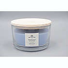 Alternate image 3 for Bee &amp; Willow&trade; Wild Bluebell 14 oz. Wood-Wick Glass Candle