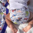 Alternate image 1 for smart bottoms&reg; Dream 2.0 Dragon Cloth Diaper