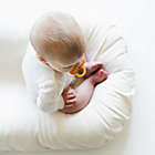 Alternate image 1 for Snuggle Me&trade; Organic Infant Lounger Cover in Natural
