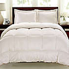 Alternate image 0 for Cathay Home Sherpa Down Alternative 3-Piece Reversible Queen Comforter Set in Ivory